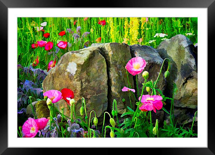 Poppies against a wall. Framed Mounted Print by Colin Metcalf