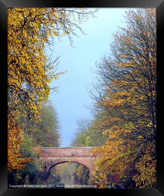 Autumn on the Oxford canal Framed Print by Linsey Williams