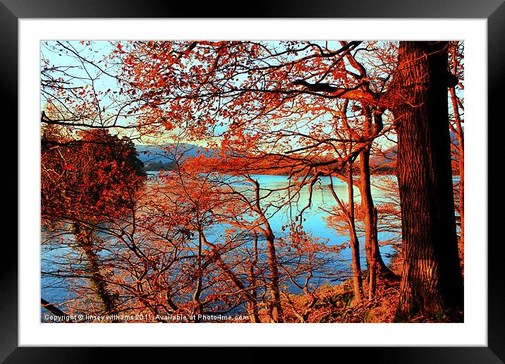 Autumn sunset Framed Mounted Print by Linsey Williams