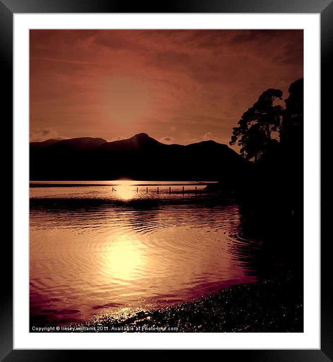 Golden waters Framed Mounted Print by Linsey Williams
