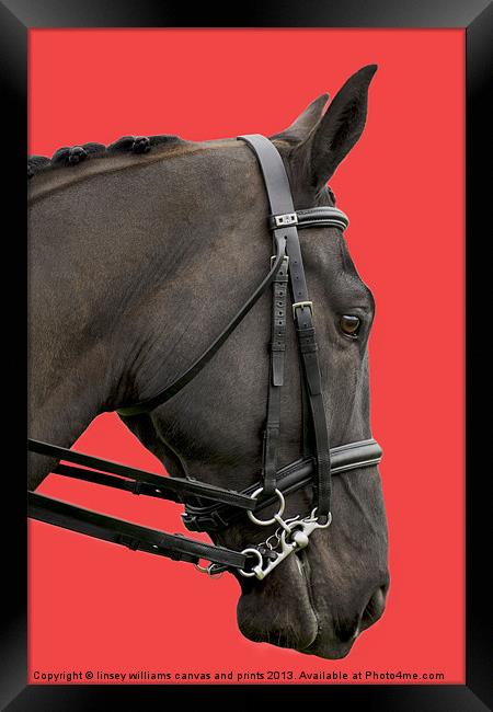 Horse on Red Framed Print by Linsey Williams