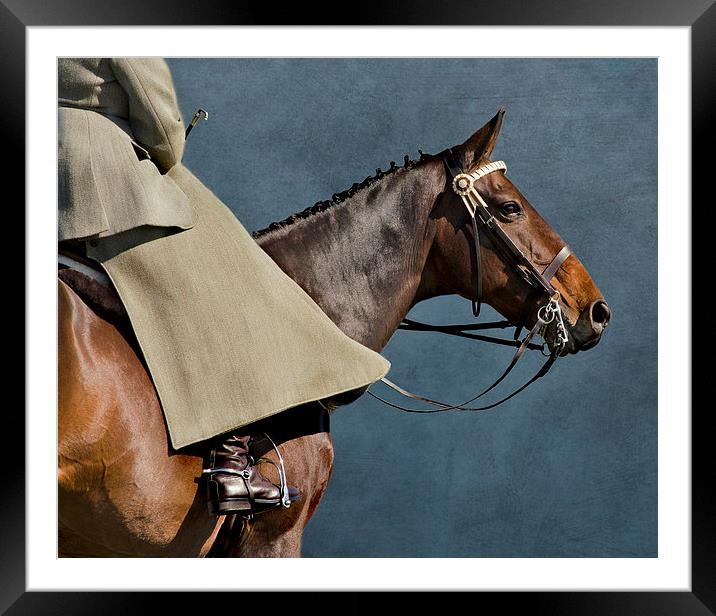Sidesaddle rider Framed Mounted Print by Linsey Williams