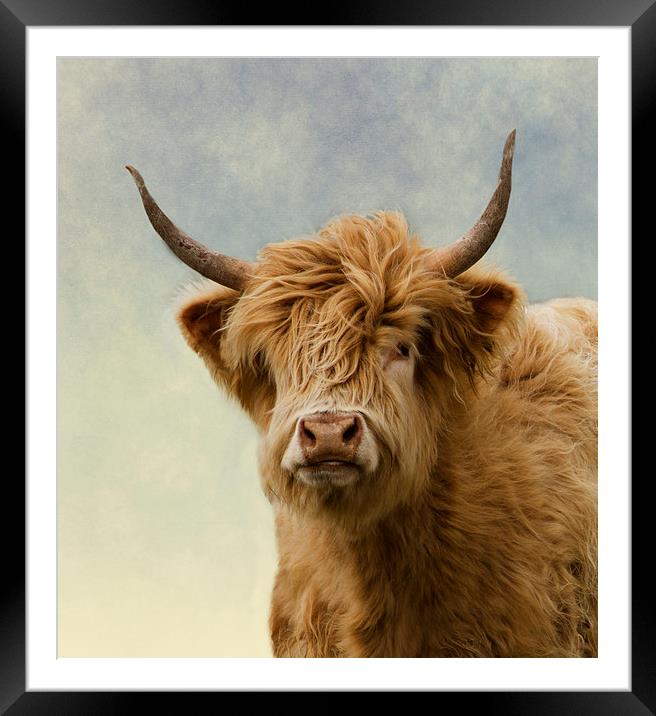 Hairy Highlander Framed Mounted Print by Linsey Williams