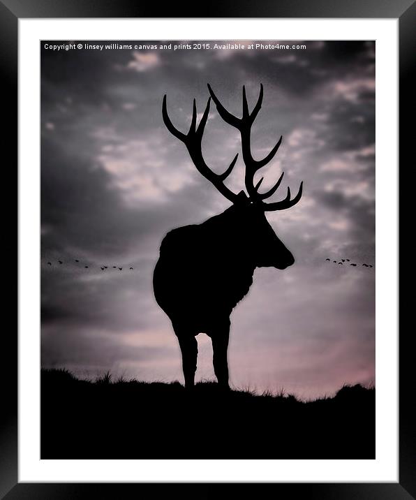 Stag And Sunset 2 Framed Mounted Print by Linsey Williams