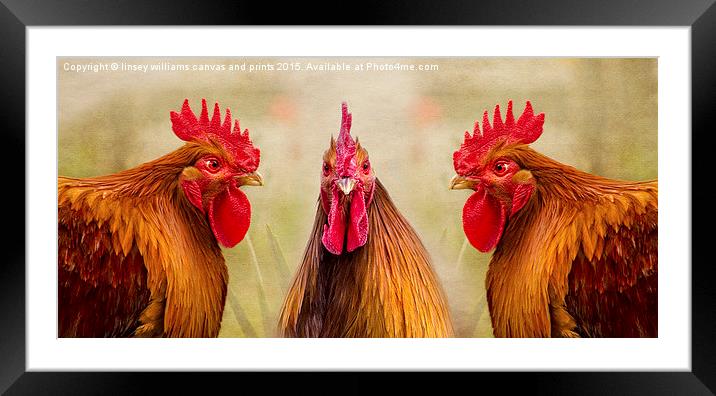 Hen Party, GULP! Framed Mounted Print by Linsey Williams