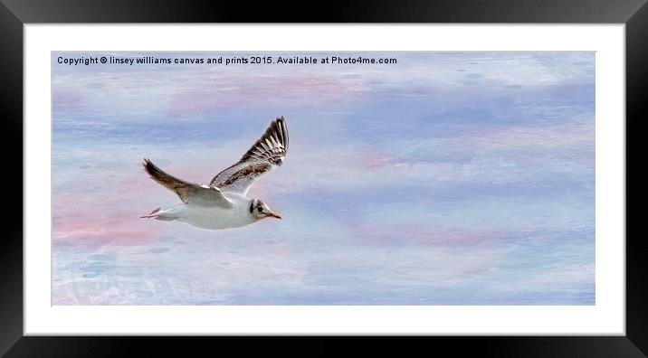  The Freedom Of Flying Framed Mounted Print by Linsey Williams