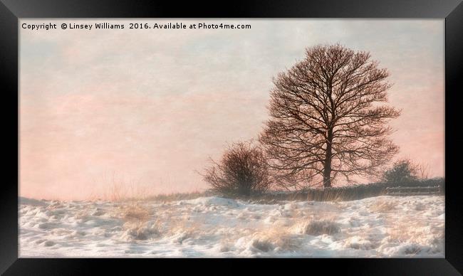 A Misty Winter Sunset Framed Print by Linsey Williams