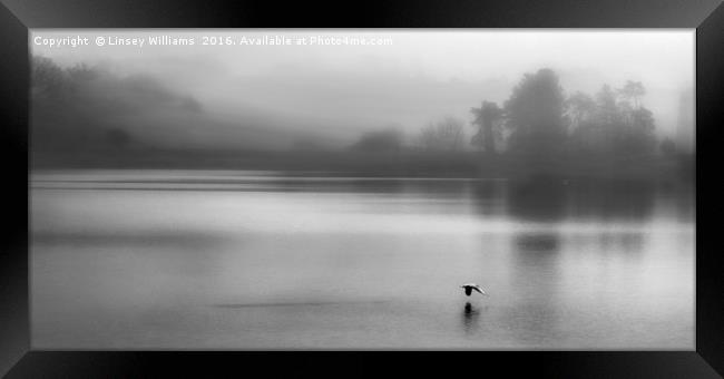 Early Morning Mist On Thornton Reservoir Framed Print by Linsey Williams