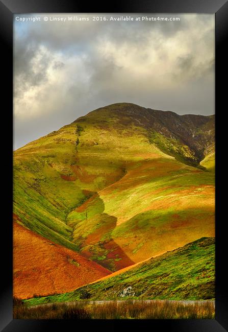 Whiteless Pike, Cumbria Framed Print by Linsey Williams