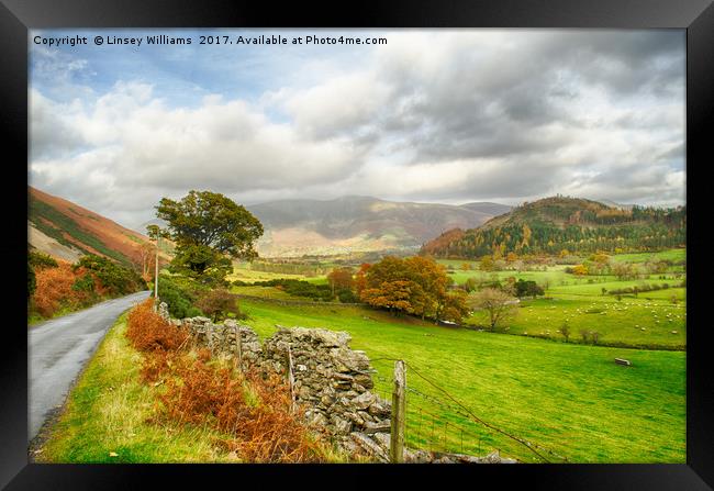 Newlands Valley Floor Framed Print by Linsey Williams