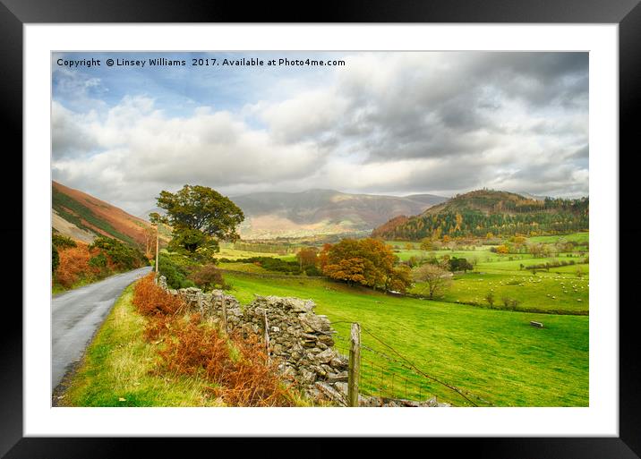 Newlands Valley Floor Framed Mounted Print by Linsey Williams