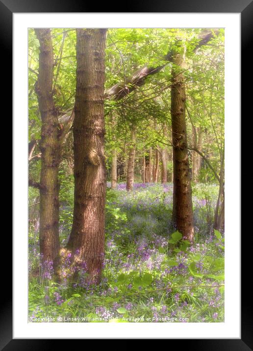 Dreaming of Bluebells in Spring Framed Mounted Print by Linsey Williams