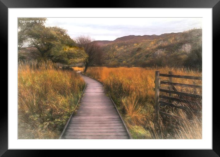 Autumn in Borrowdale, Cumbria Framed Mounted Print by Linsey Williams