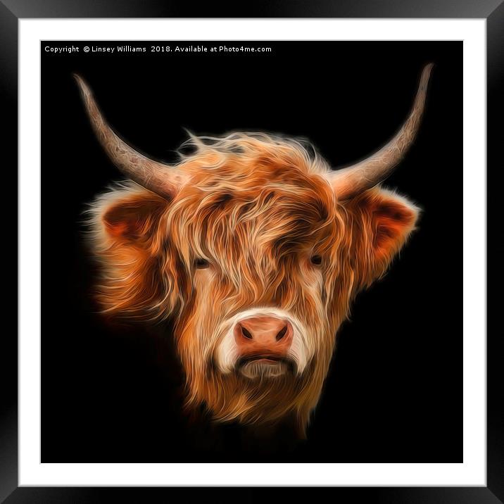 Highland Cow. Framed Mounted Print by Linsey Williams