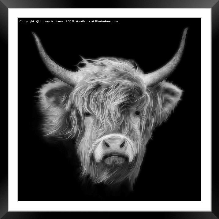 Highland Cow in Black and White Framed Mounted Print by Linsey Williams