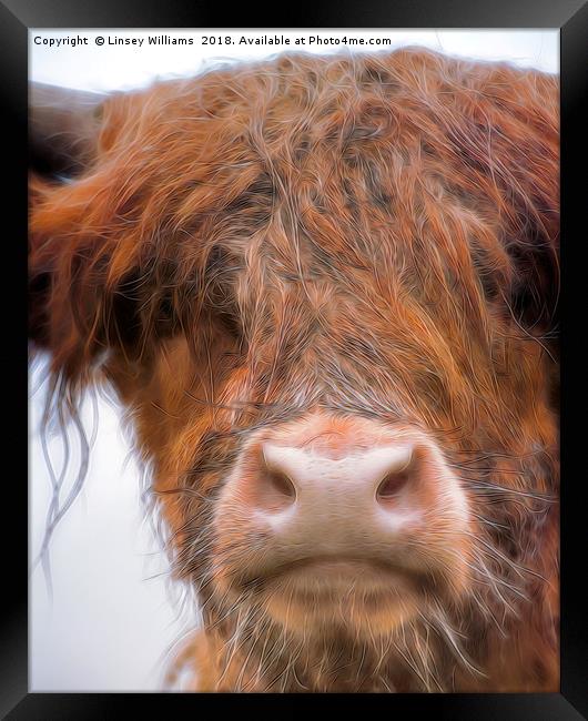 Bad Hair Day Coo Framed Print by Linsey Williams