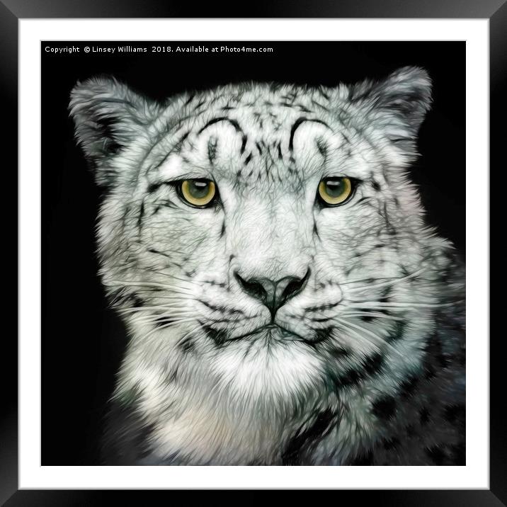 Snow Leopard Framed Mounted Print by Linsey Williams