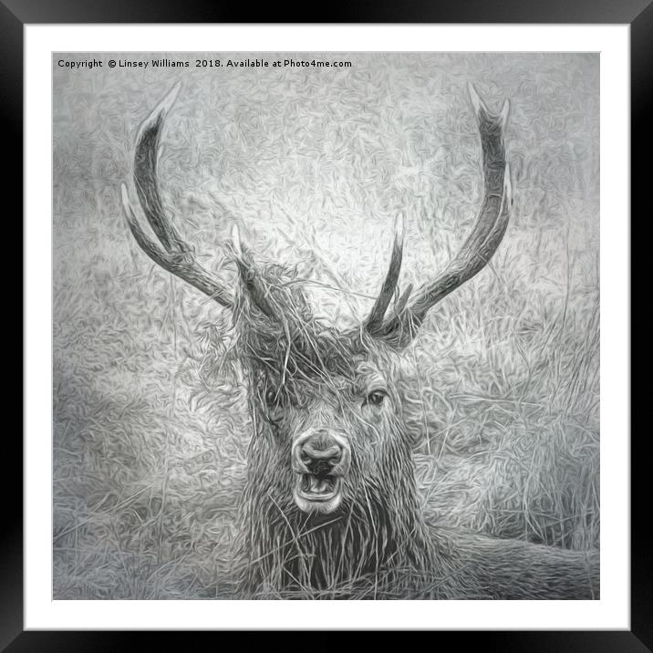 Stag Party Framed Mounted Print by Linsey Williams