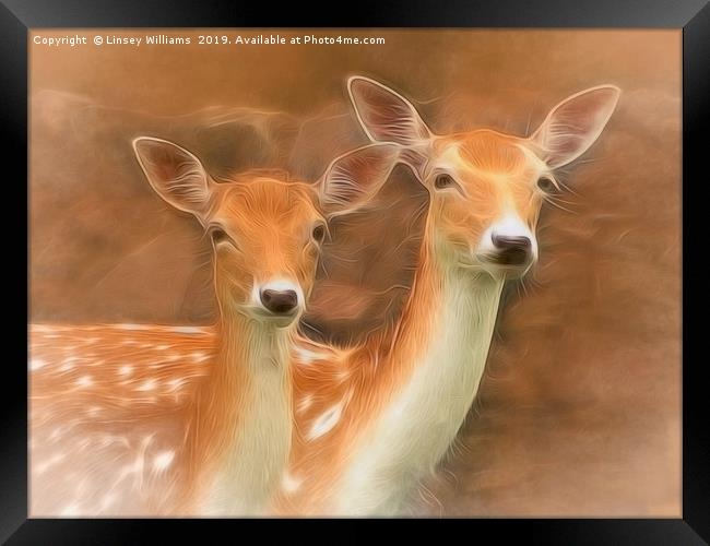 Two Fallow Deer Framed Print by Linsey Williams
