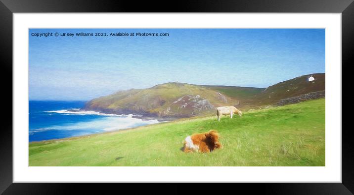 Cows at Cape Cornwall Framed Mounted Print by Linsey Williams