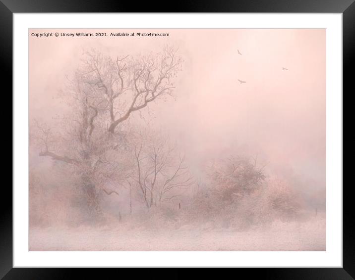 Trees in Frost and Fog Framed Mounted Print by Linsey Williams