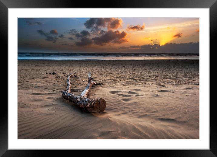 Berrow beach Driftwood...  Framed Mounted Print by J.Tom L.Photography