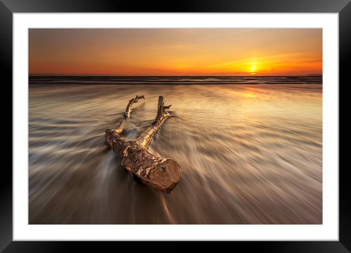 Driftwood Framed Mounted Print by J.Tom L.Photography