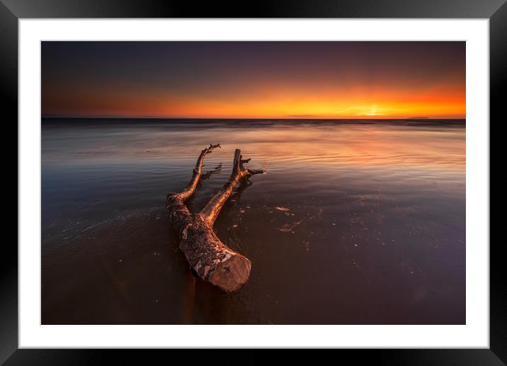 Driftwood ... Framed Mounted Print by J.Tom L.Photography