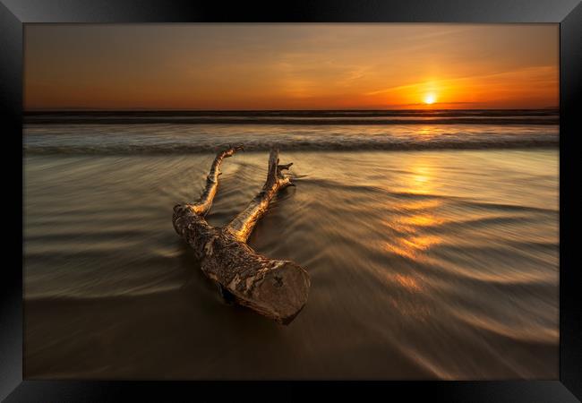 Driftwood...  Framed Print by J.Tom L.Photography