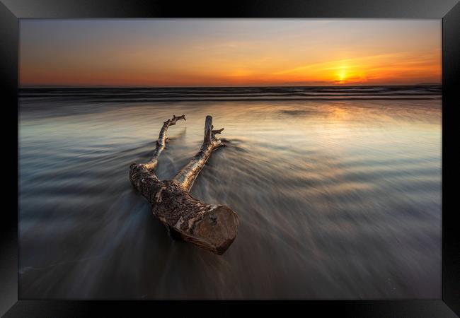 Berrow beach Driftwood...  Framed Print by J.Tom L.Photography