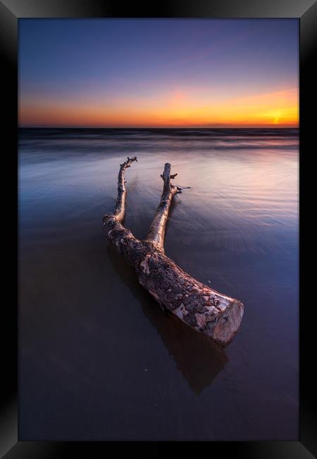 Driftwood on the Berrow beach  Framed Print by J.Tom L.Photography