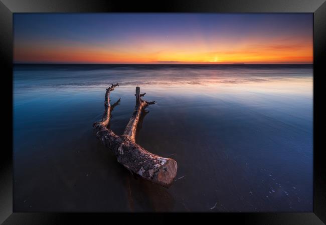 Berrow beach Driftwood...  Framed Print by J.Tom L.Photography