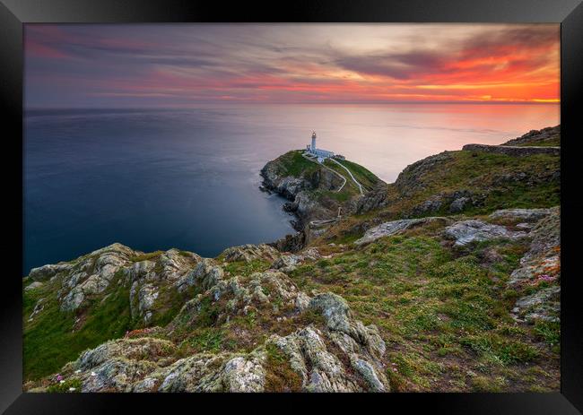 South Stack Lighthouse at Spring sunset  Framed Print by J.Tom L.Photography