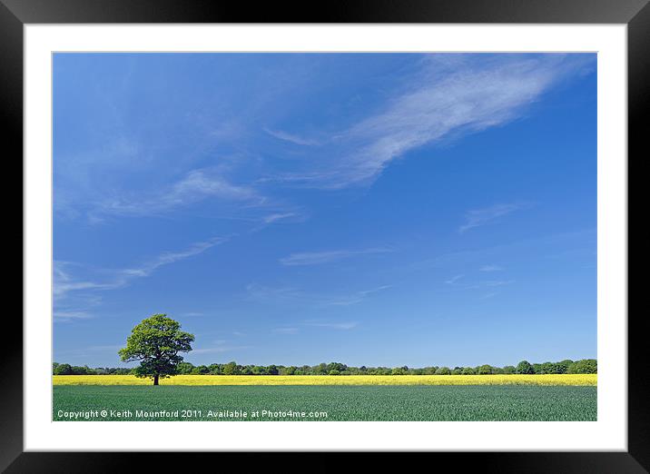 The Yellow Stripe Framed Mounted Print by Keith Mountford