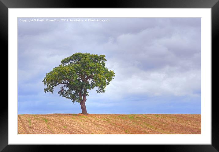 The Lone Tree Framed Mounted Print by Keith Mountford