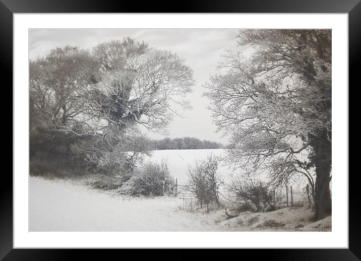 Snowy days Framed Mounted Print by Jay Ticehurst