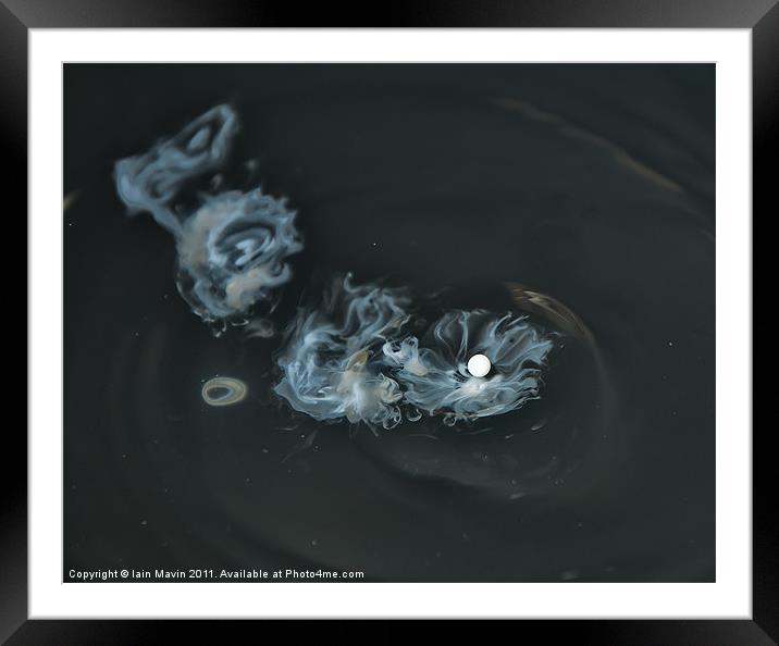Pearl Drops Framed Mounted Print by Iain Mavin