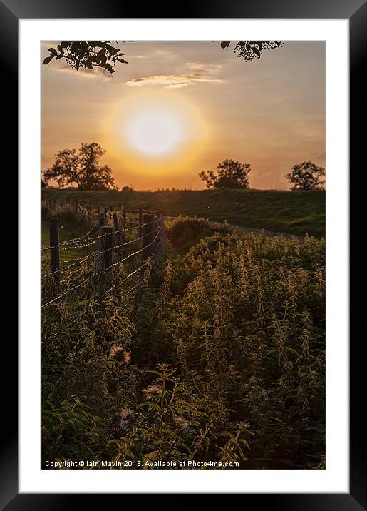 Halo Sun and Nettles Framed Mounted Print by Iain Mavin