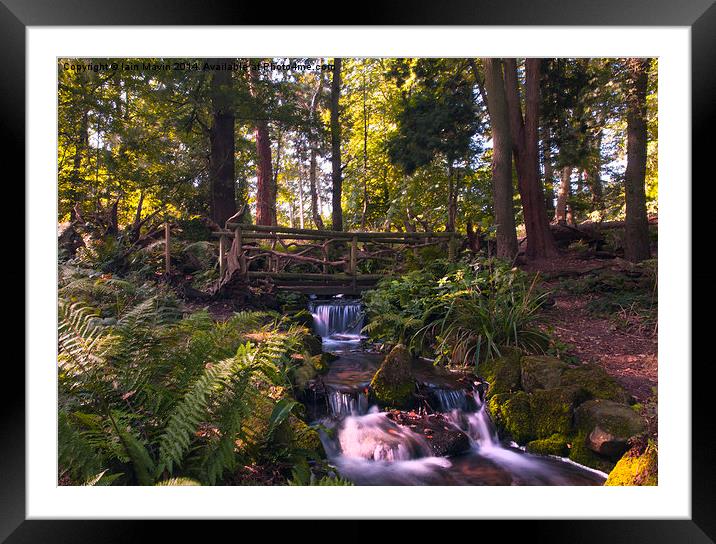 Tranquillity Bridge - A place to dream  Framed Mounted Print by Iain Mavin