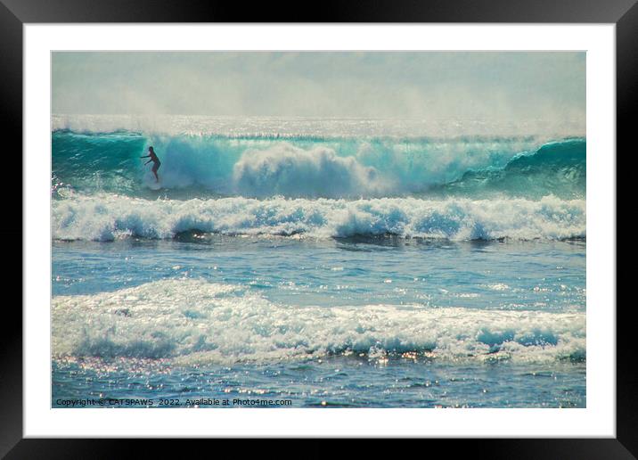 SURF-ACING Framed Mounted Print by CATSPAWS 