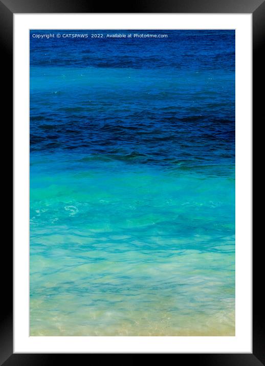 SEA BEAUTY Framed Mounted Print by CATSPAWS 