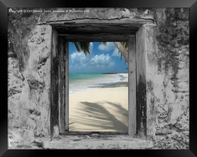 WINDOW ON PARADISE Framed Print by CATSPAWS 