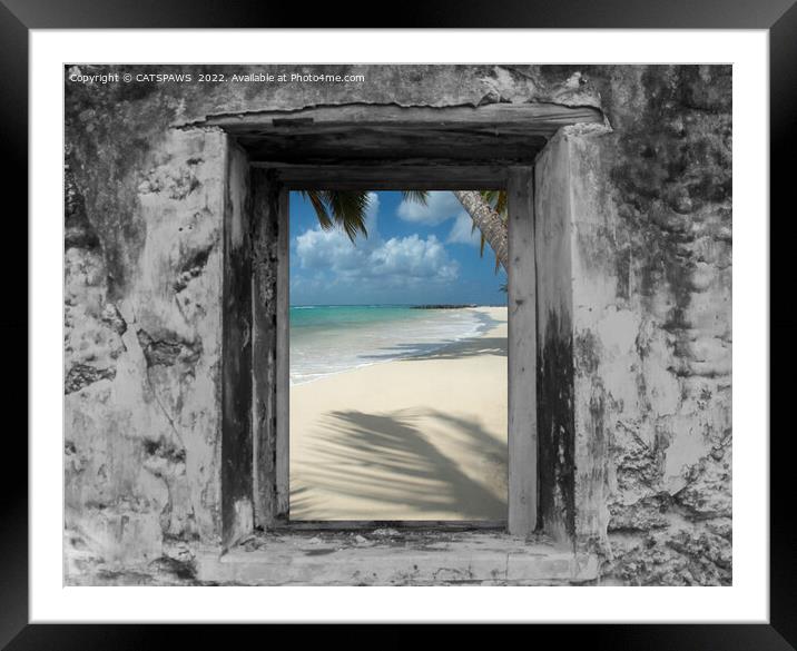 WINDOW ON PARADISE Framed Mounted Print by CATSPAWS 