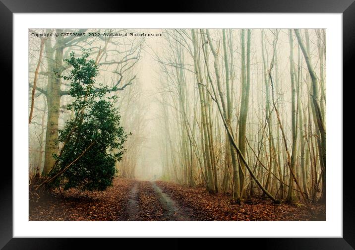 GHOST PATH Framed Mounted Print by CATSPAWS 