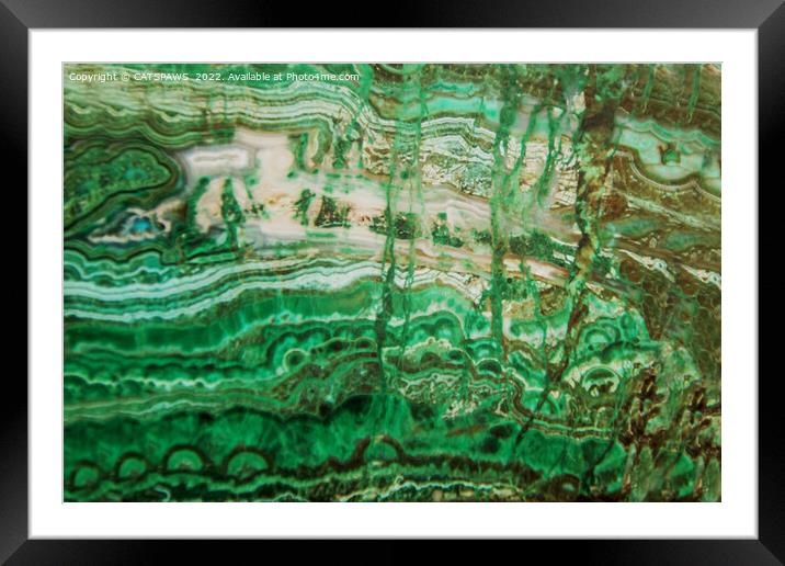 MINERAL BEAUTY - MALACHITE Framed Mounted Print by CATSPAWS 