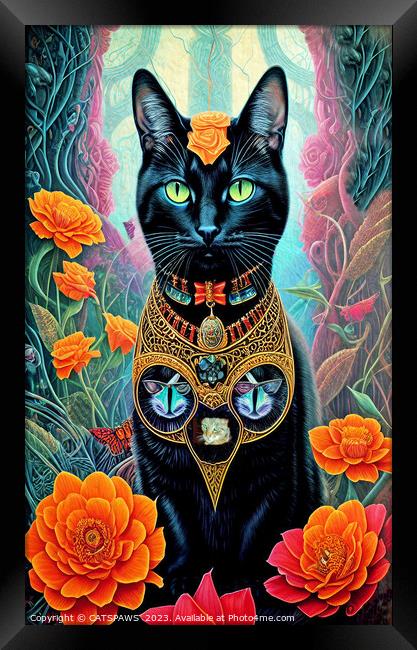 CAT-EGORICAL Framed Print by CATSPAWS 