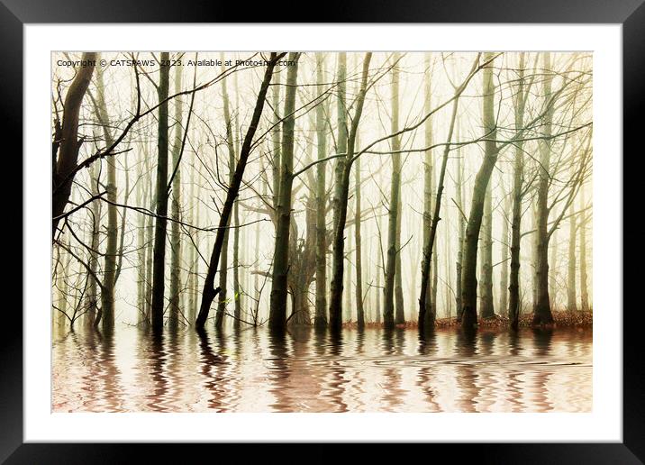 GHOST TREES Framed Mounted Print by CATSPAWS 