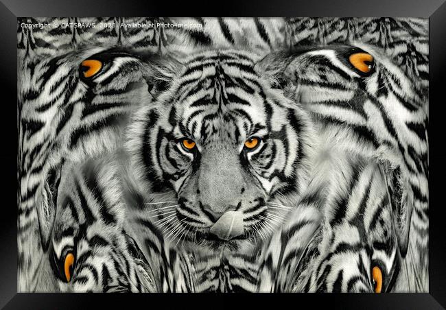 TIGER PAW-TRAIT Framed Print by CATSPAWS 