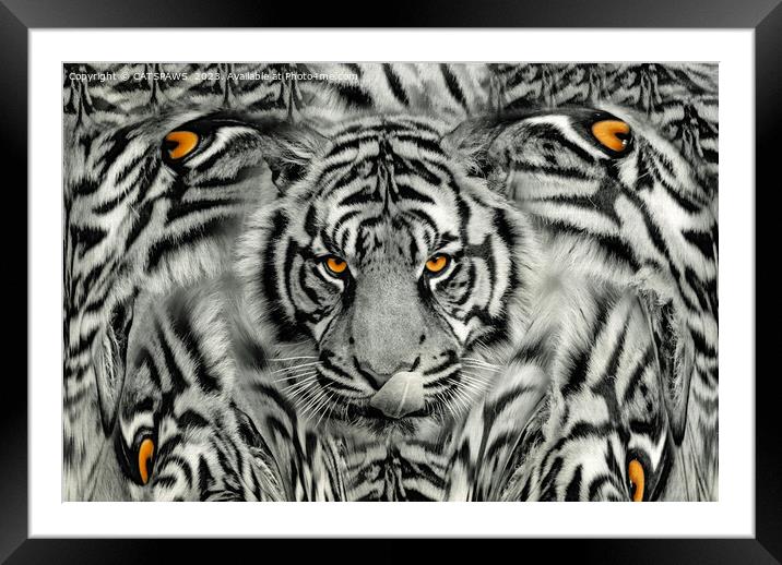 TIGER PAW-TRAIT Framed Mounted Print by CATSPAWS 