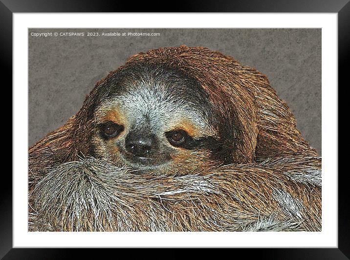 SLOTH LOVE Framed Mounted Print by CATSPAWS 